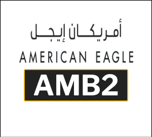 American Eagle Tip